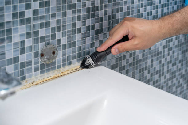 Best Insurance-Related Mold Remediation in Milton, WA
